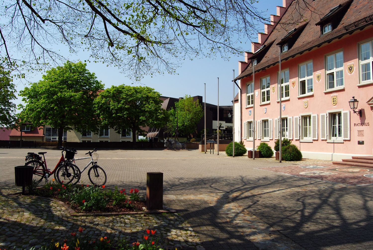 Das Rathaus der Stadt Breisach am Münsterplatz mit seiner roséfarbenen Fassade
